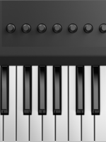 Native Instruments KOMPLETE KONTROL A25
