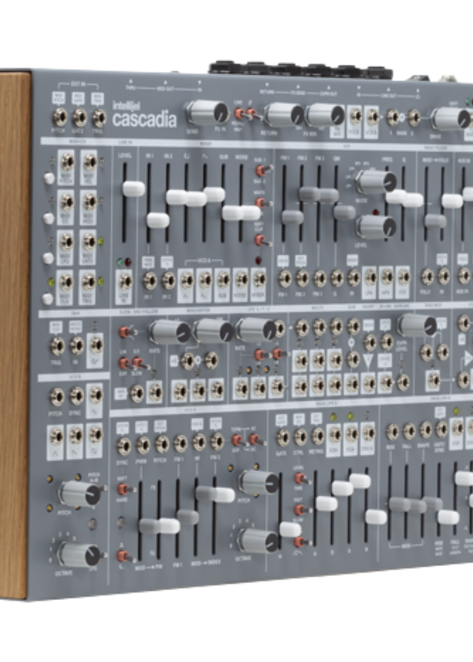 Intellijel Cascadia