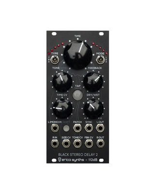 Erica Synths Black Stereo Delay2