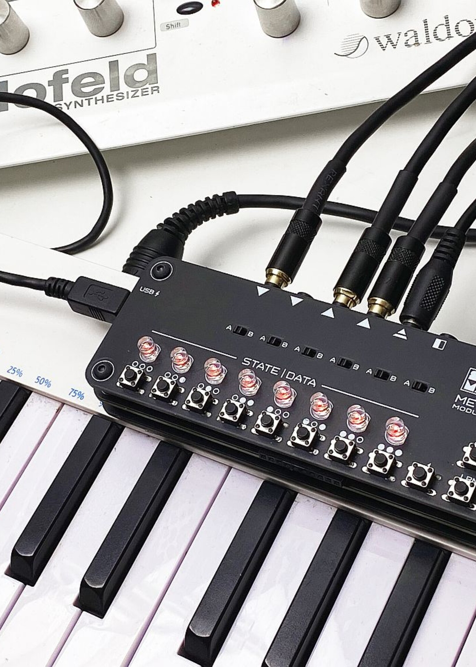 Soma Laboratory Metaconformer