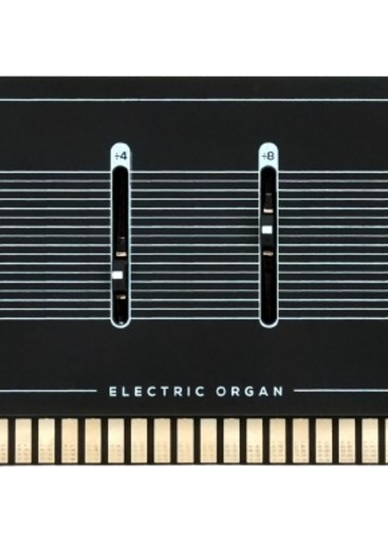 Erica Synths Bullfrog Voice Cards