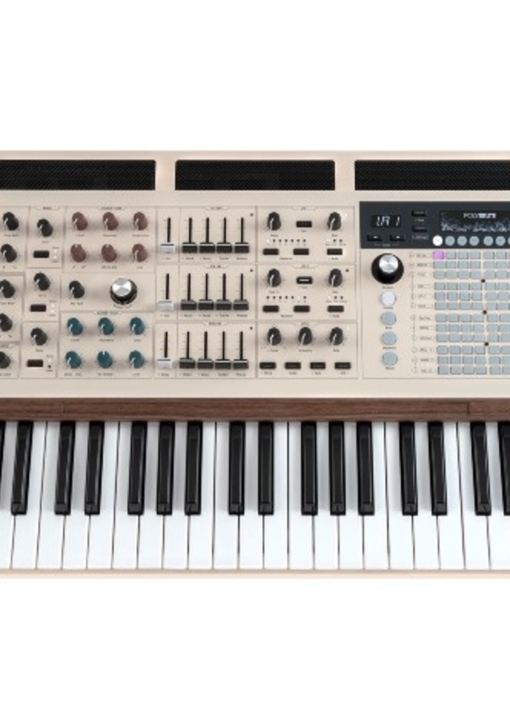 Arturia PolyBrute 12