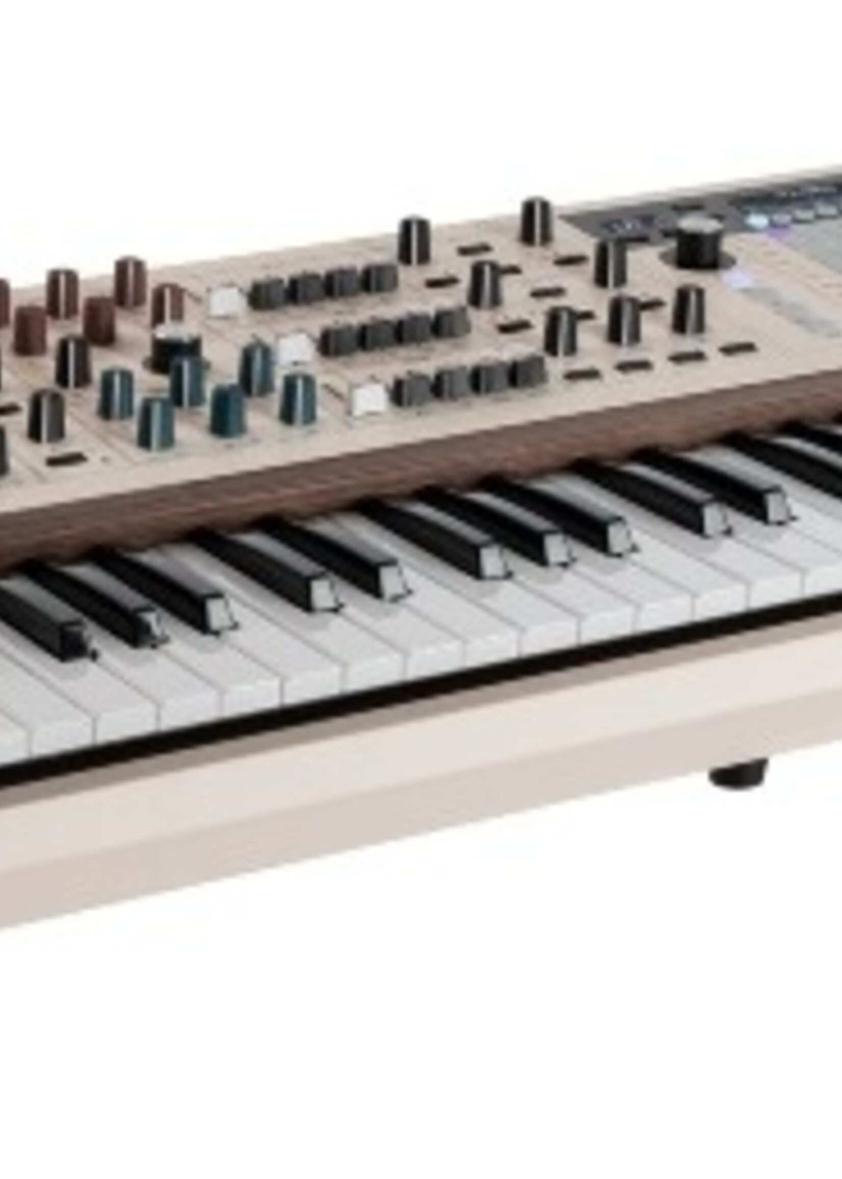 Arturia PolyBrute 12