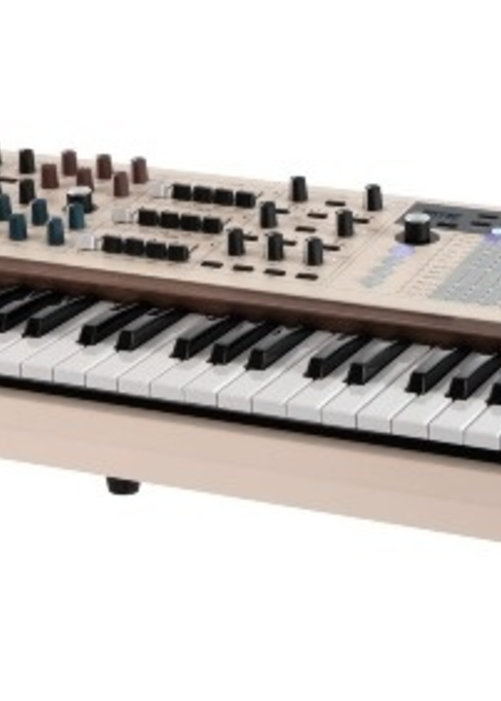 Arturia PolyBrute 12