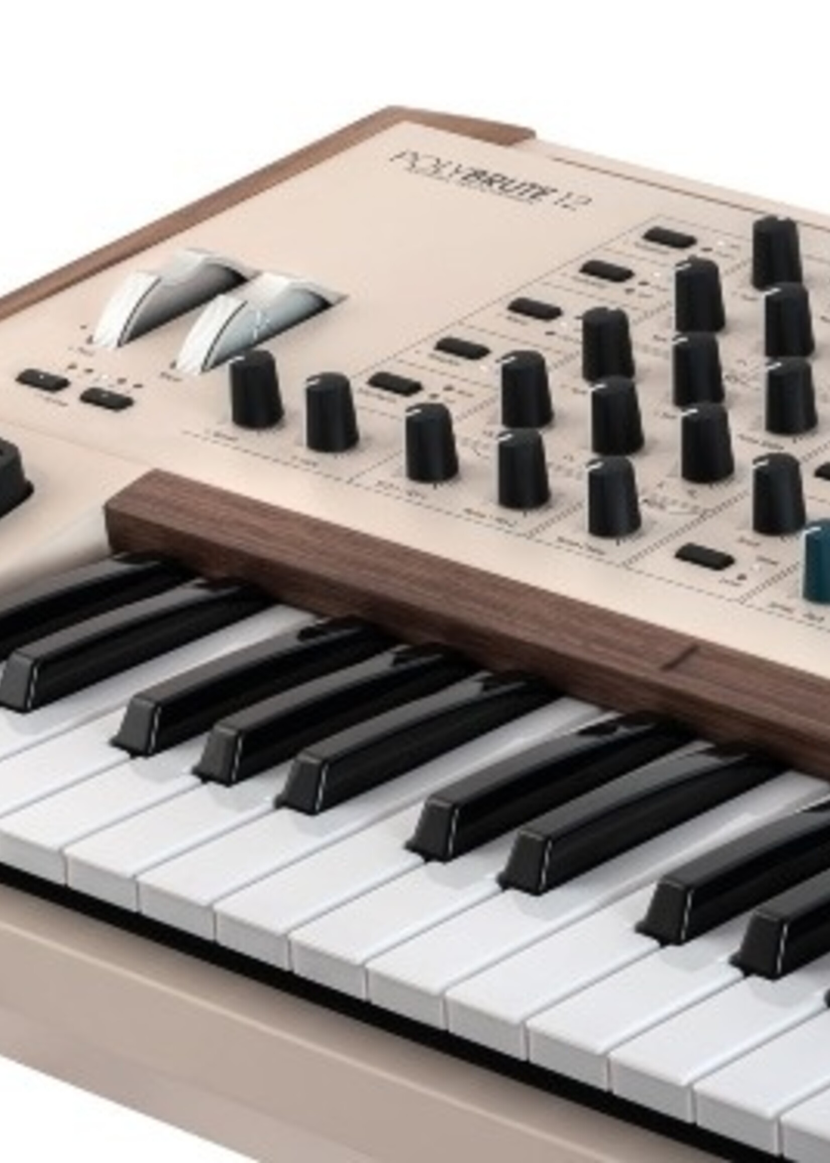 Arturia PolyBrute 12