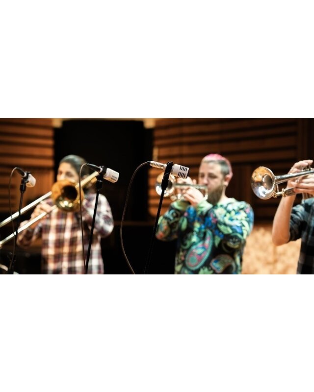 Universal Audio SD-3 Dynamic Microphone with Hemisphere Modeling