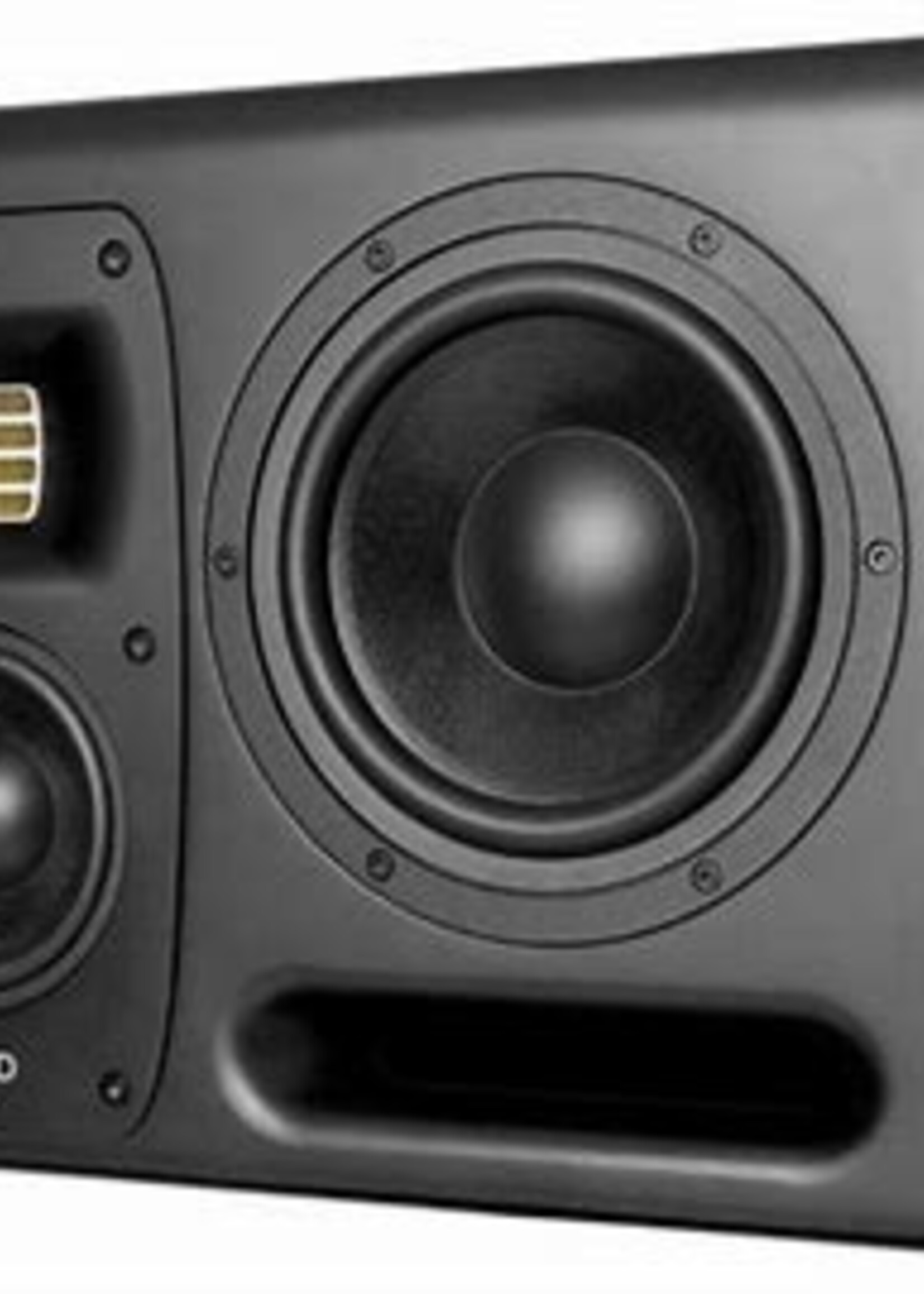 Hedd Audio Type 20 MK2 Right