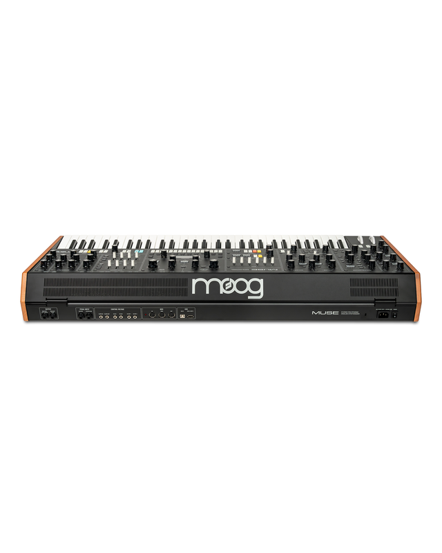 Moog Muse