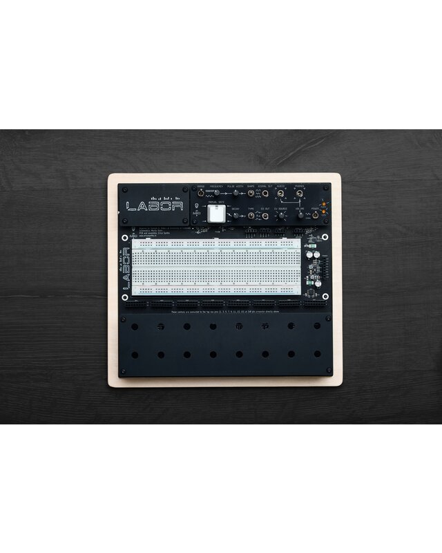 Erica Synths EDU DIY Labor