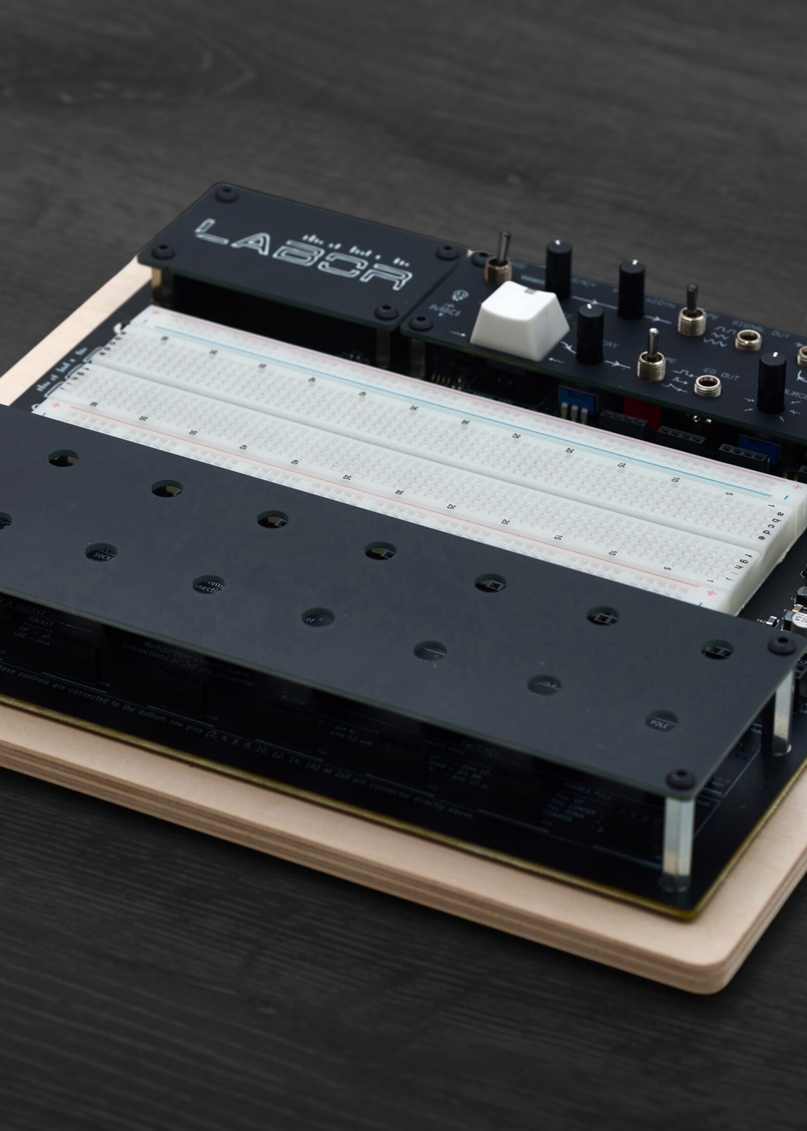 Erica Synths EDU DIY Labor