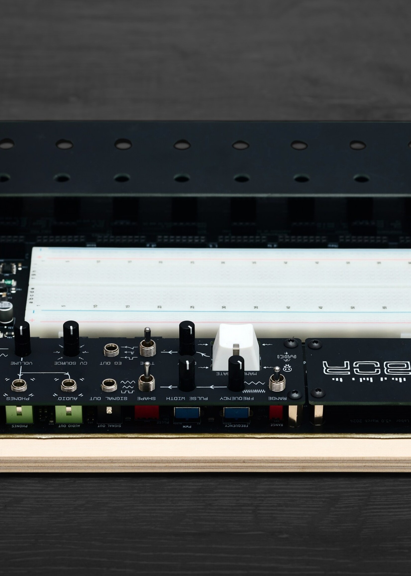 Erica Synths EDU DIY Labor