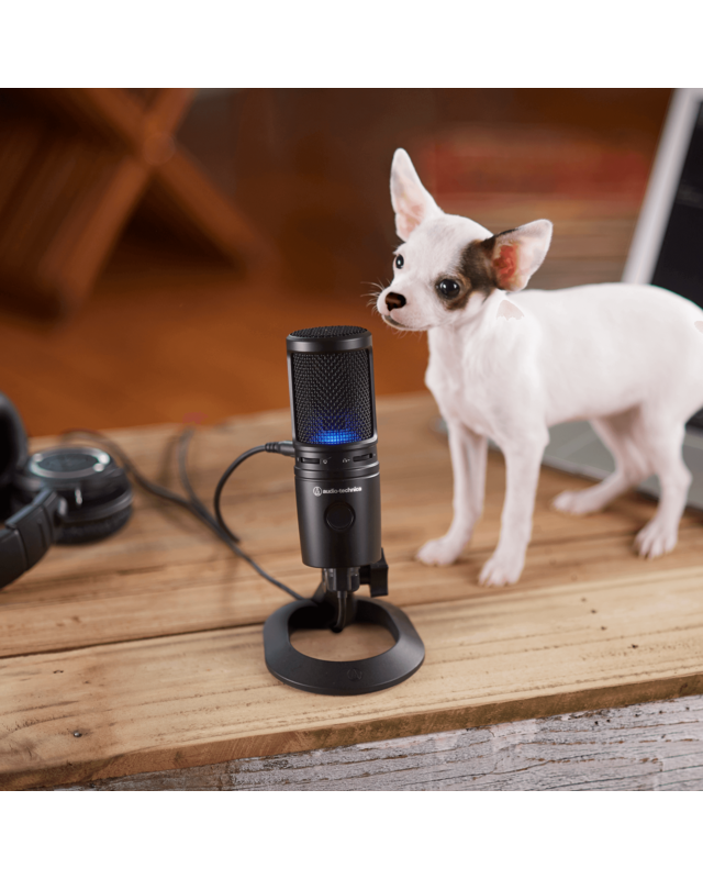 Audio-Technica AT2020USBX