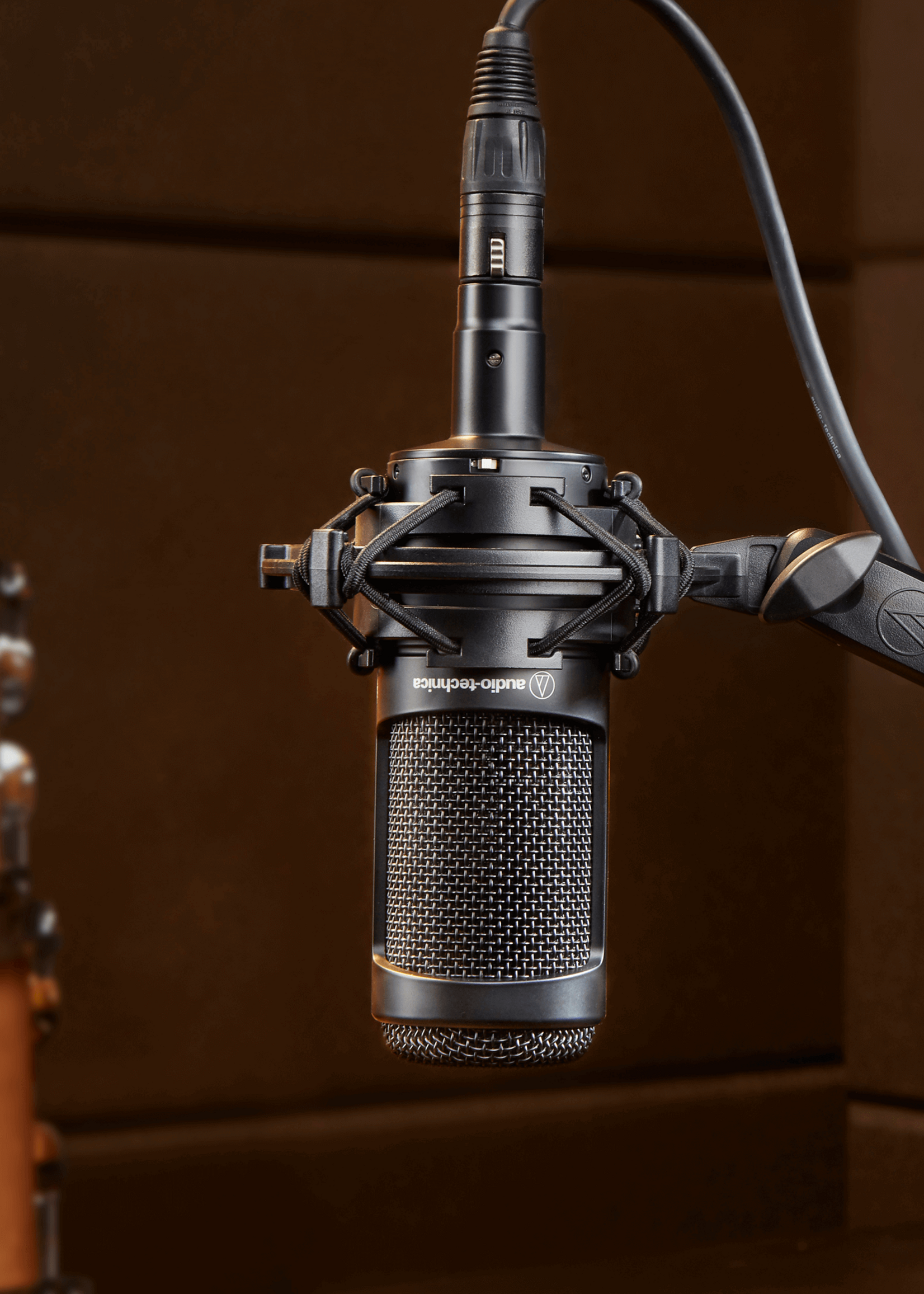 Audio-Technica AT2050