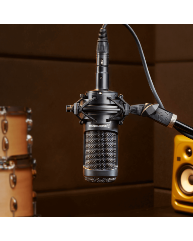 Audio-Technica AT2050