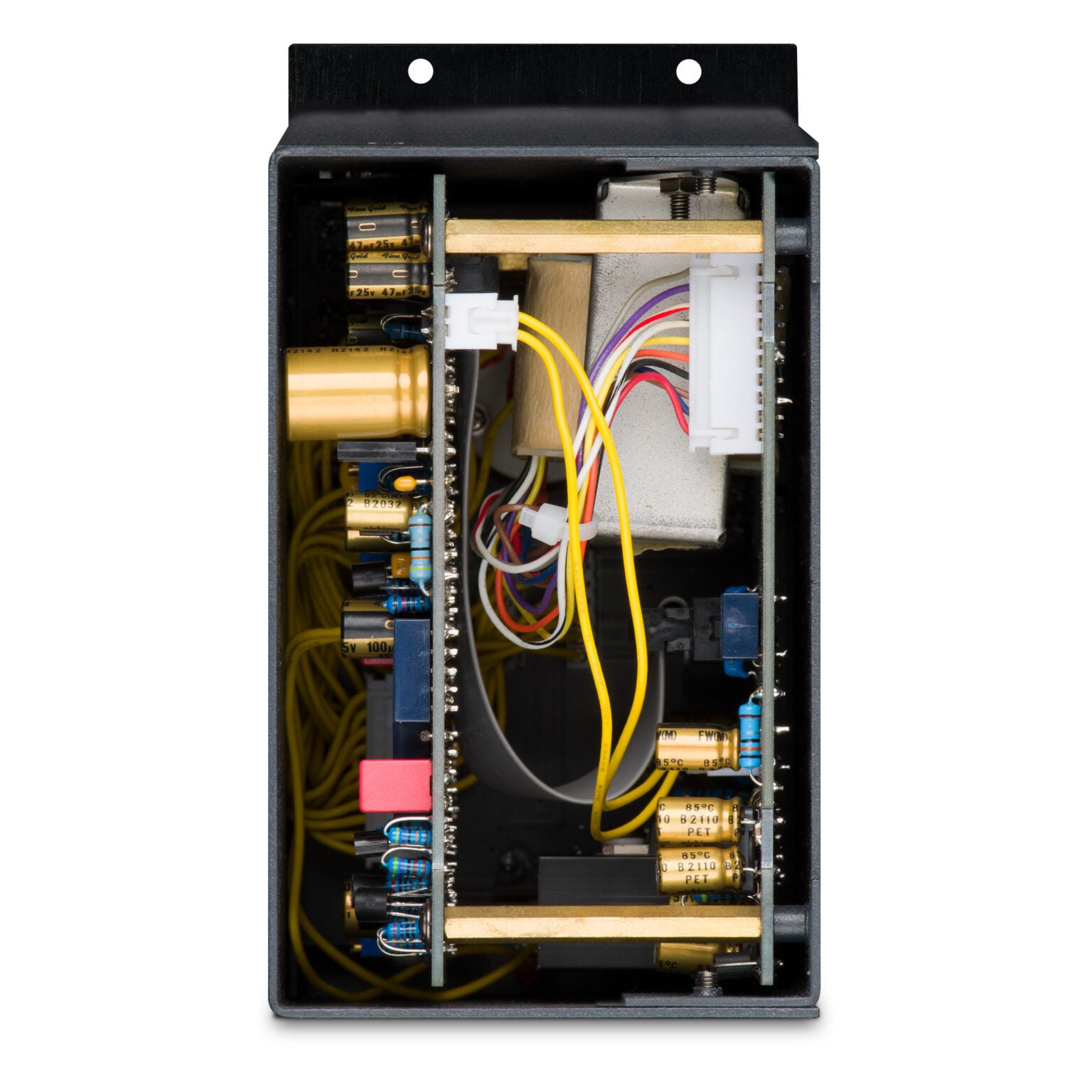 Black Lion Audio SEVENTEEN 500 - Volt Music Store