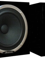 Avantone Pro MixCubes Black (pair)