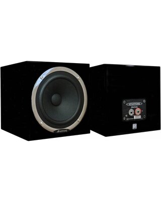 Avantone Pro MixCubes Black (pair)