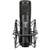ML-1