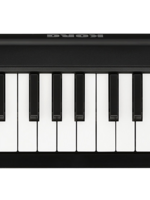 Korg microKEY2-49AIR midi keyboard