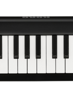 Korg microKEY2-49USB midi keyboard
