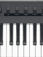 Korg KEYSTAGE-49 MIDI Keyboard