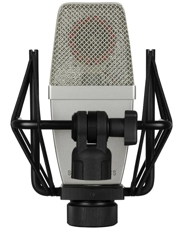 sE Electronics T1(P)