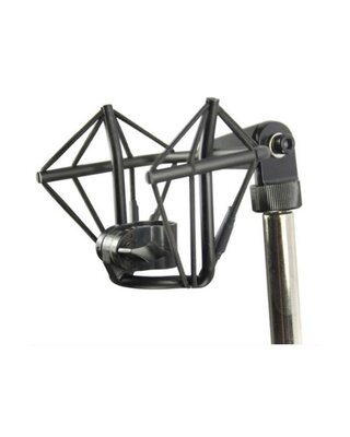 sE Electronics SE4400 Spin