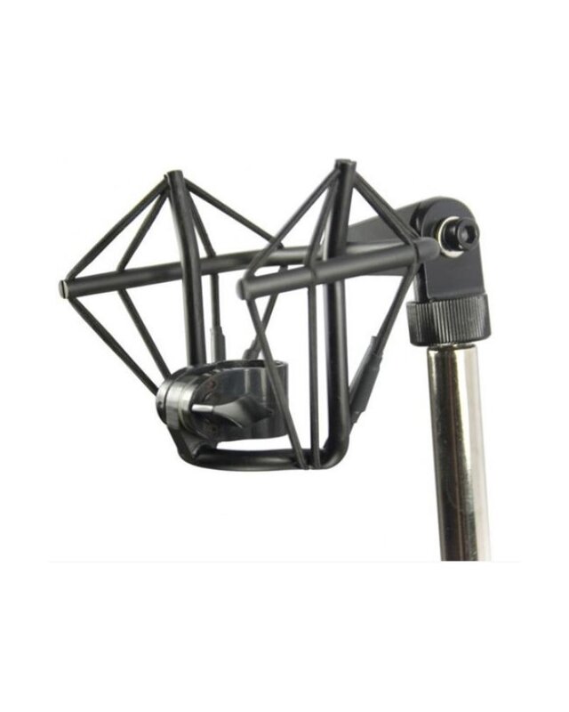 sE Electronics SE4400 Spin