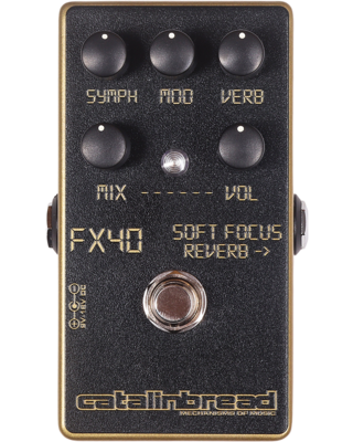 Catalinbread SOFT FOCUS GOLD