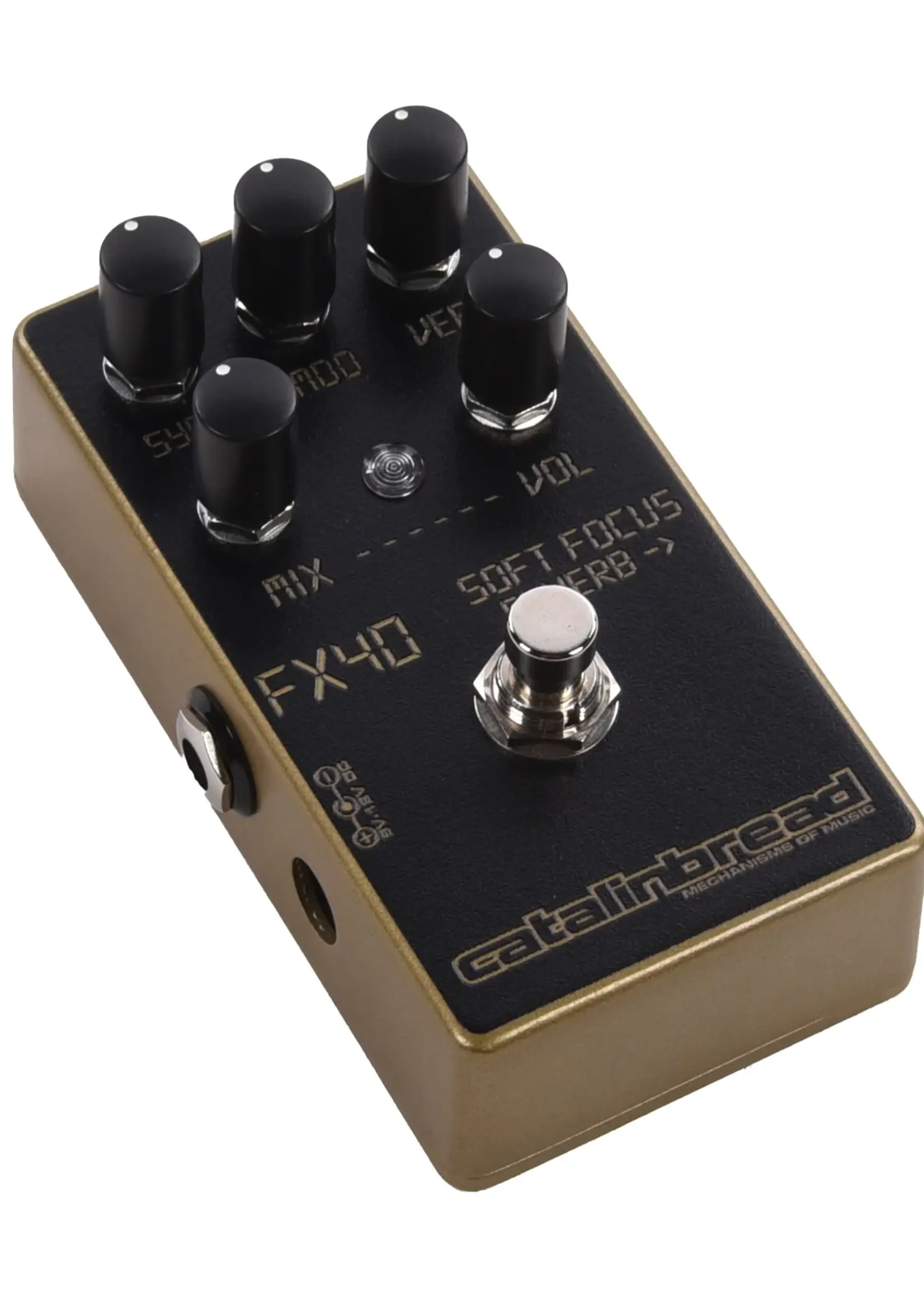 Catalinbread SOFT FOCUS GOLD