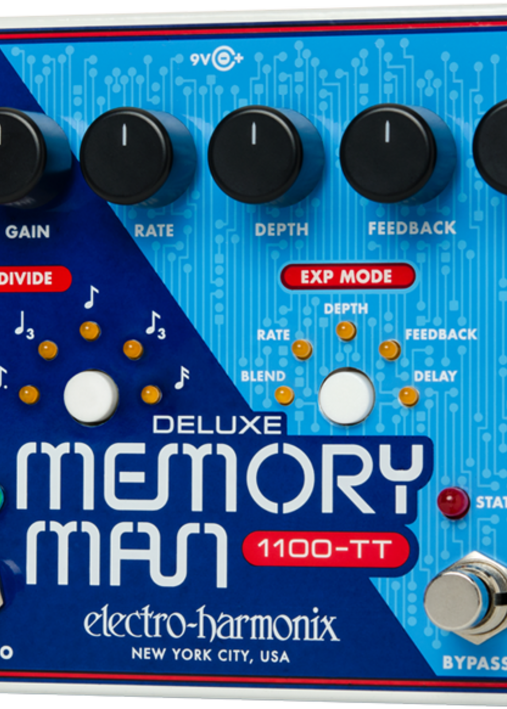 Electro-harmonix DELUXE MEMORY MAN 110 W/TT