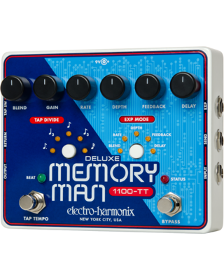 Electro-harmonix DELUXE MEMORY MAN 110 W/TT