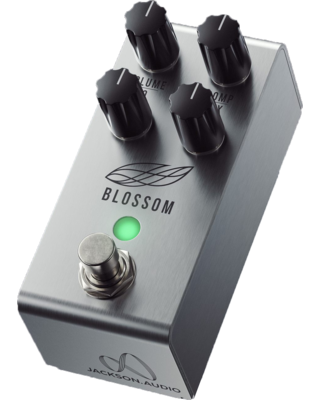 Jackson audio BLOSSOM