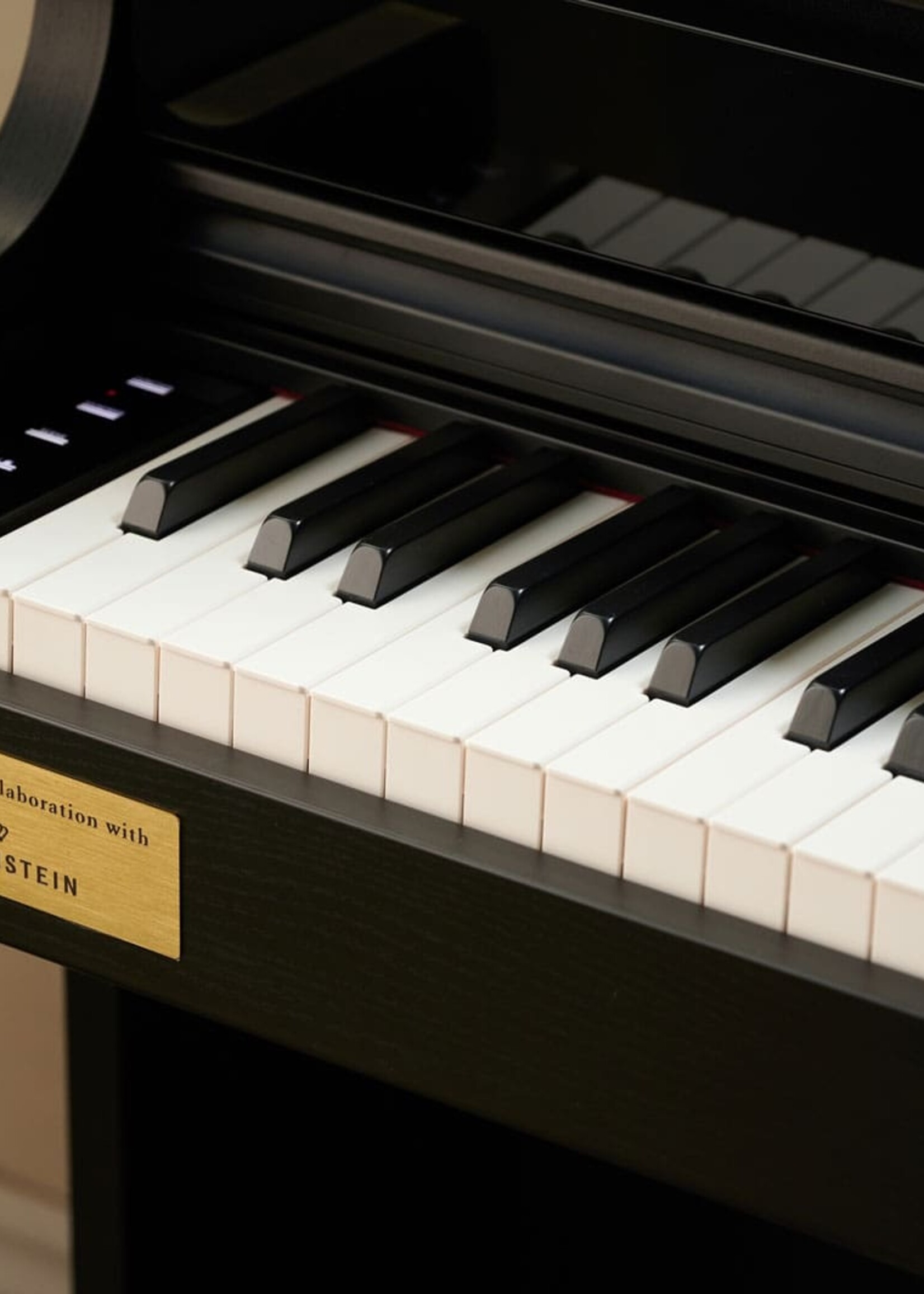 Casio AP-750 Celviano Series Digital Piano (Black)