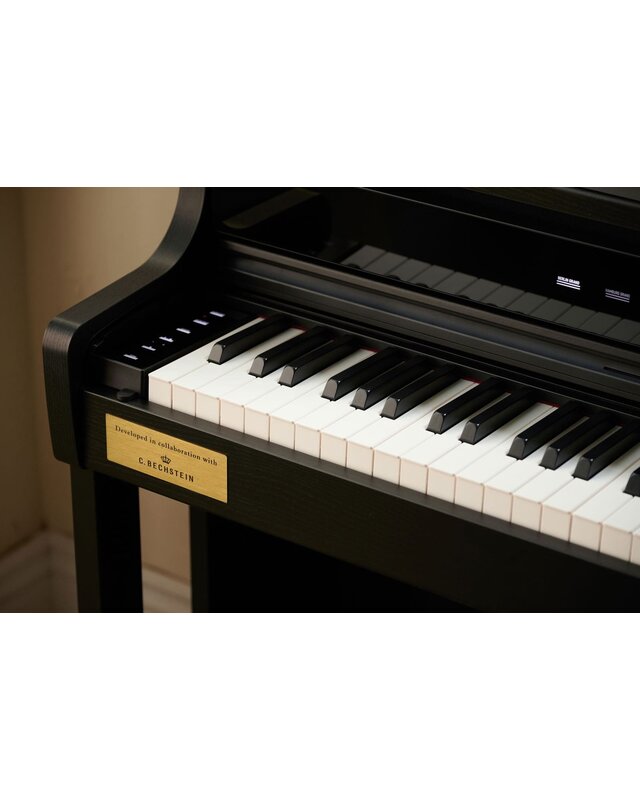Casio AP-750 Celviano Series Digital Piano (Black)