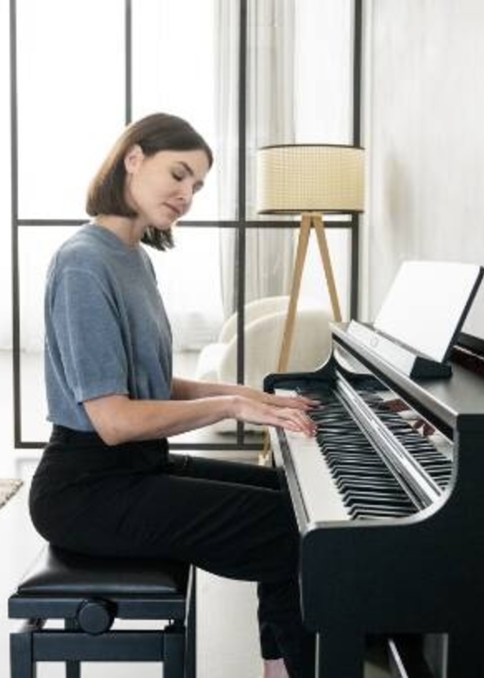 Casio AP-750 Celviano Series Digital Piano (Black)