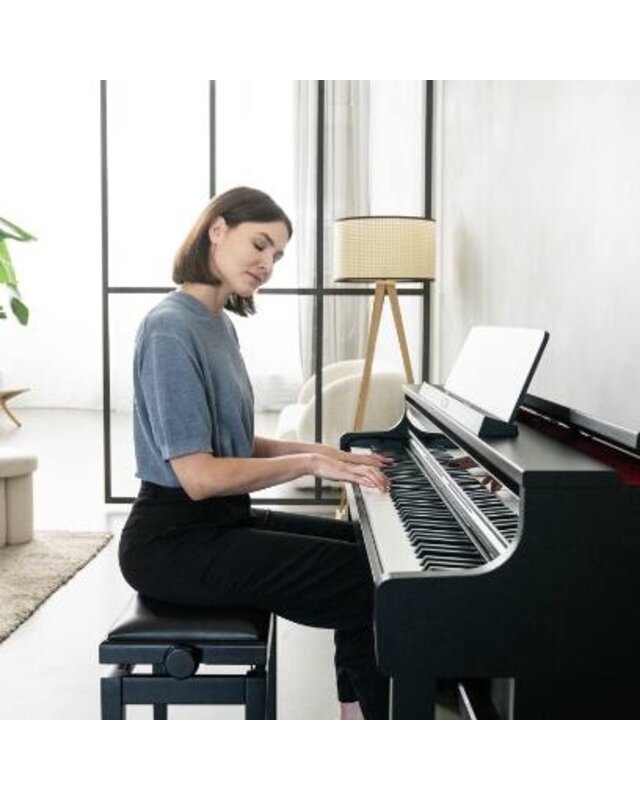 Casio AP-750 Celviano Series Digital Piano (Black)