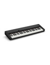 Casio CT-S1 Casiotone Series Keyboard (Black)