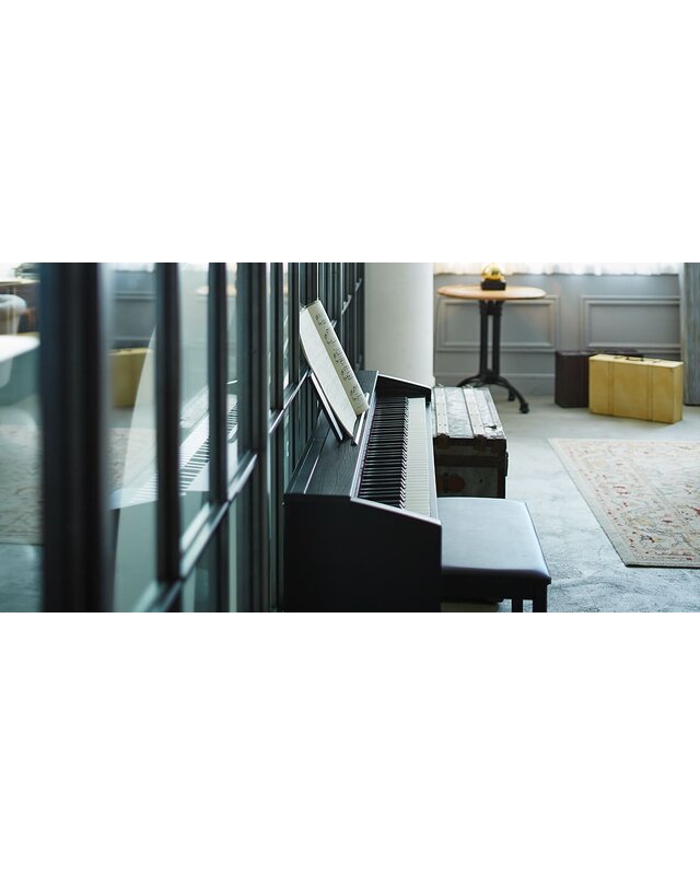 Casio PX-870 Privia Series Digital Piano (Black)