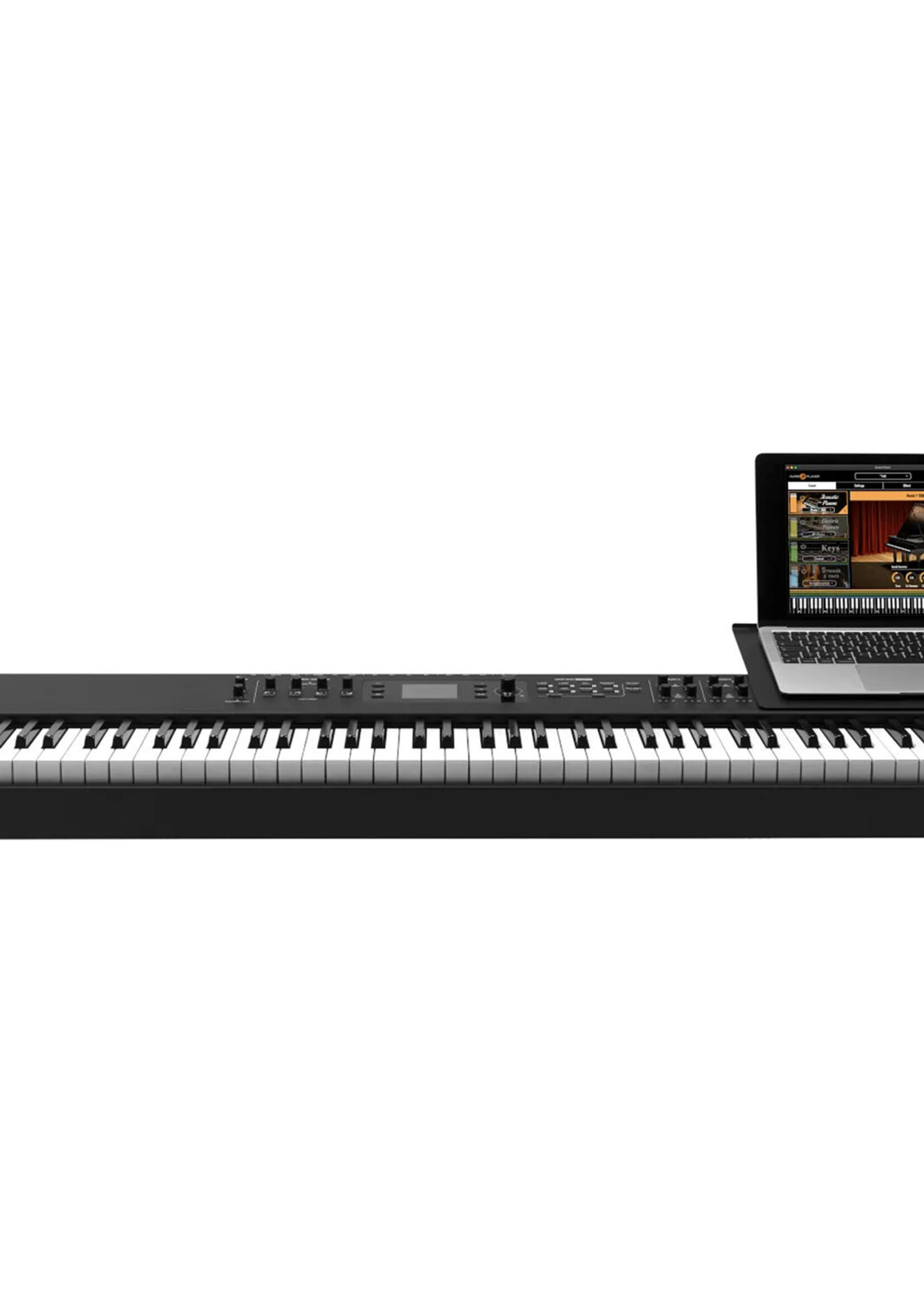Studiologic NUMA X Piano Magnetic Computer Plate
