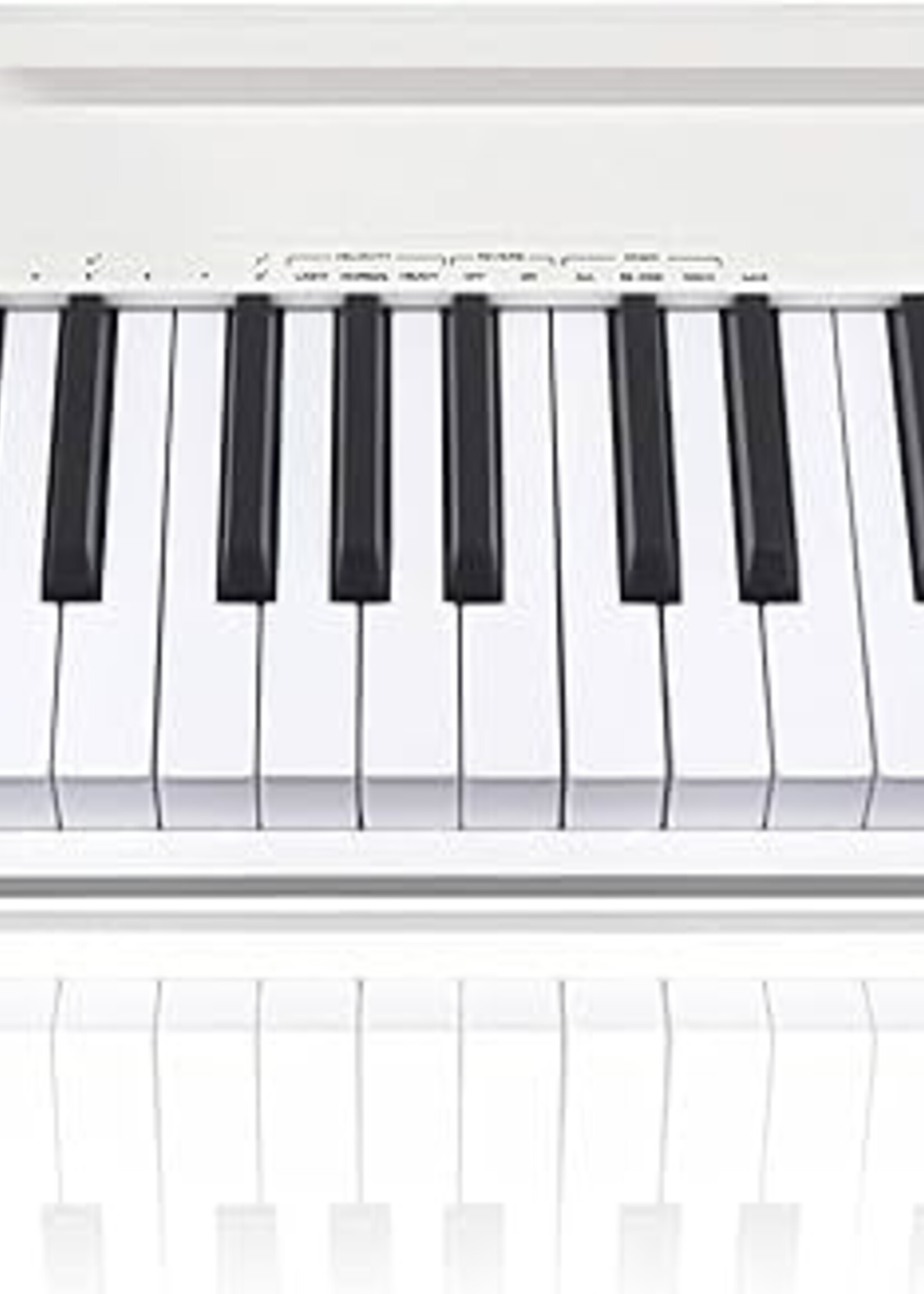 Midiplus  Easy Piano E2 Tracktion Ed.