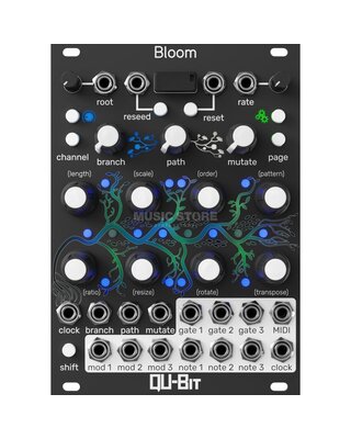 Qu-Bit Bloom V2