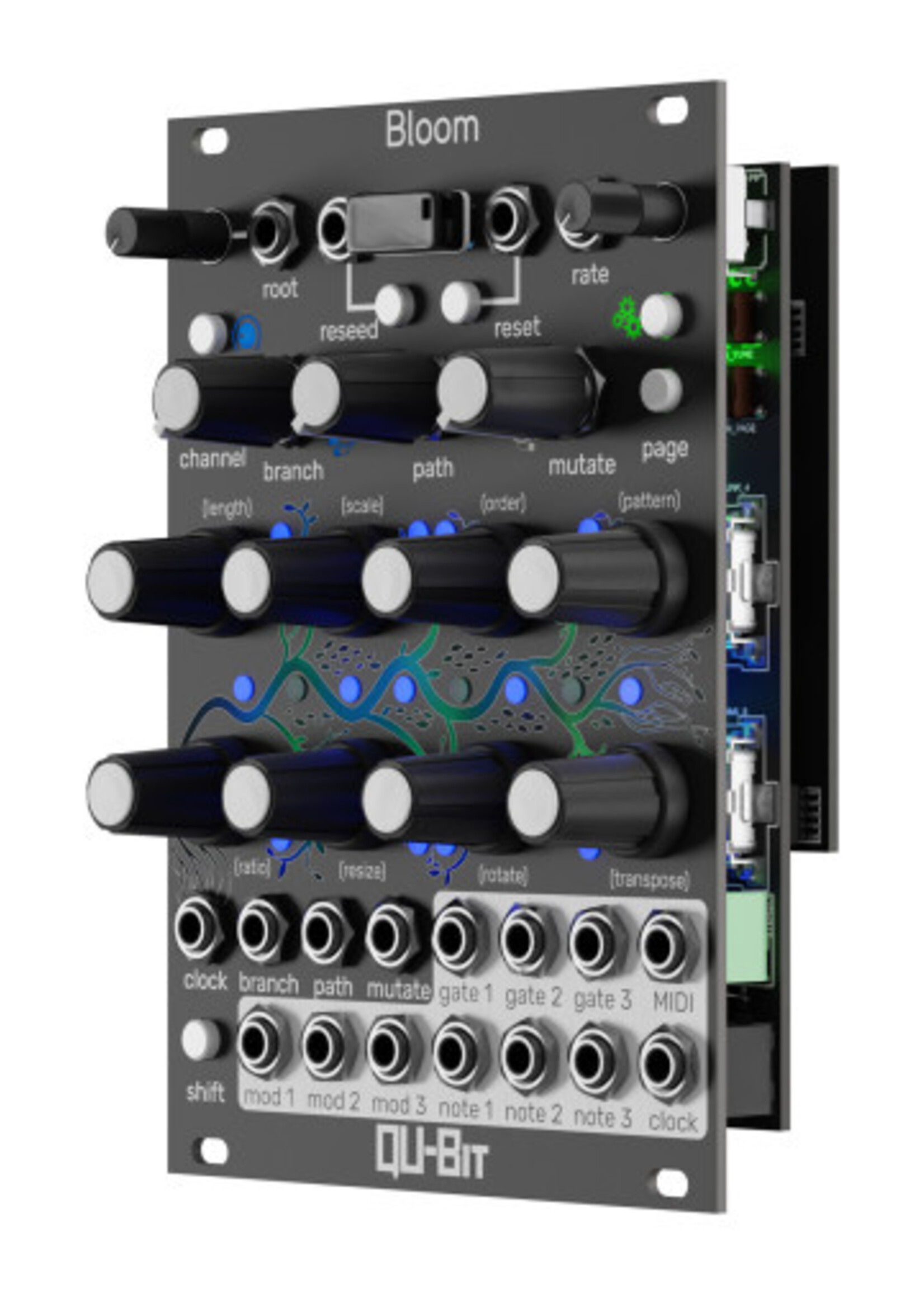 Qu-Bit Bloom V2
