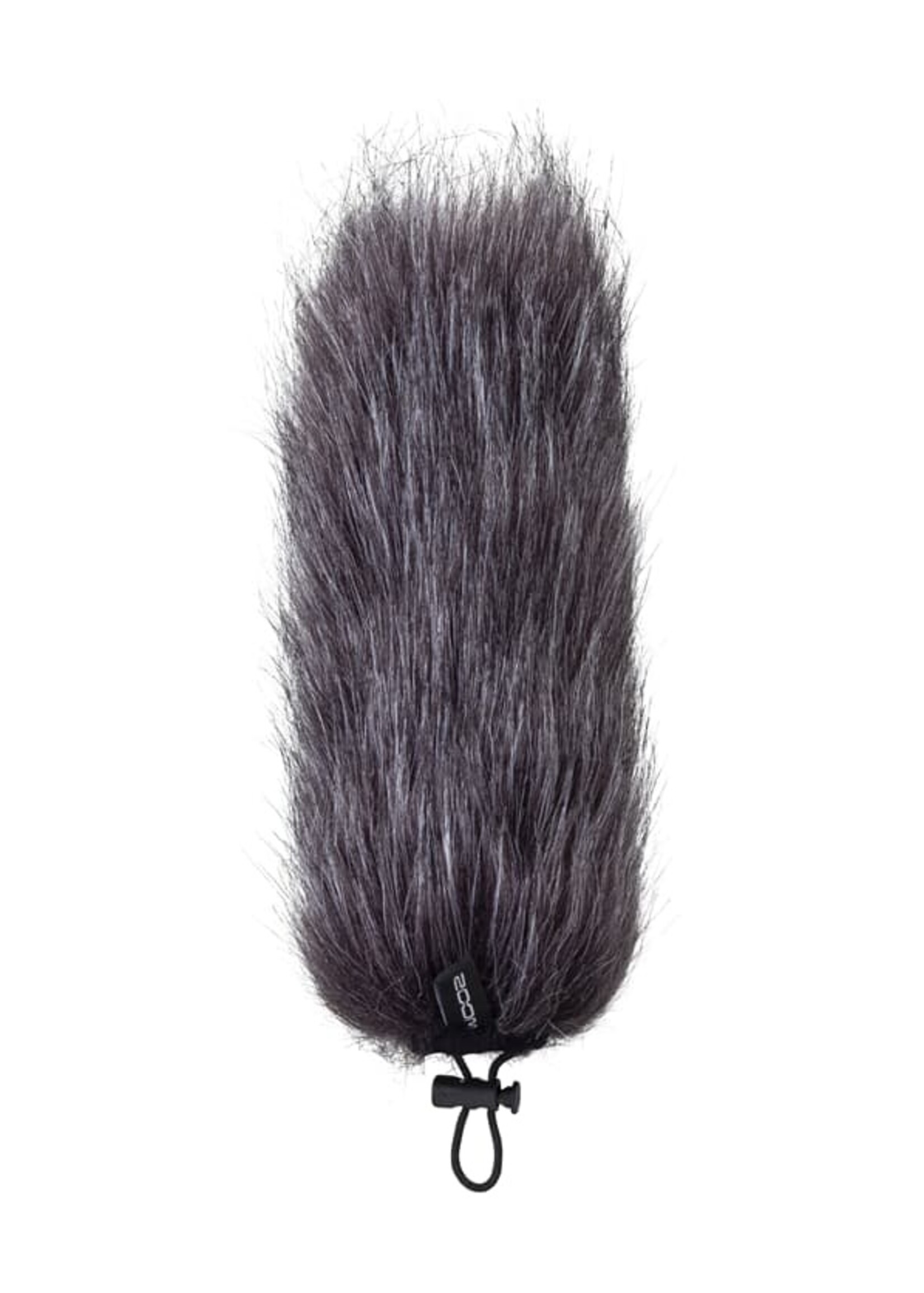Zoom WSU-2
