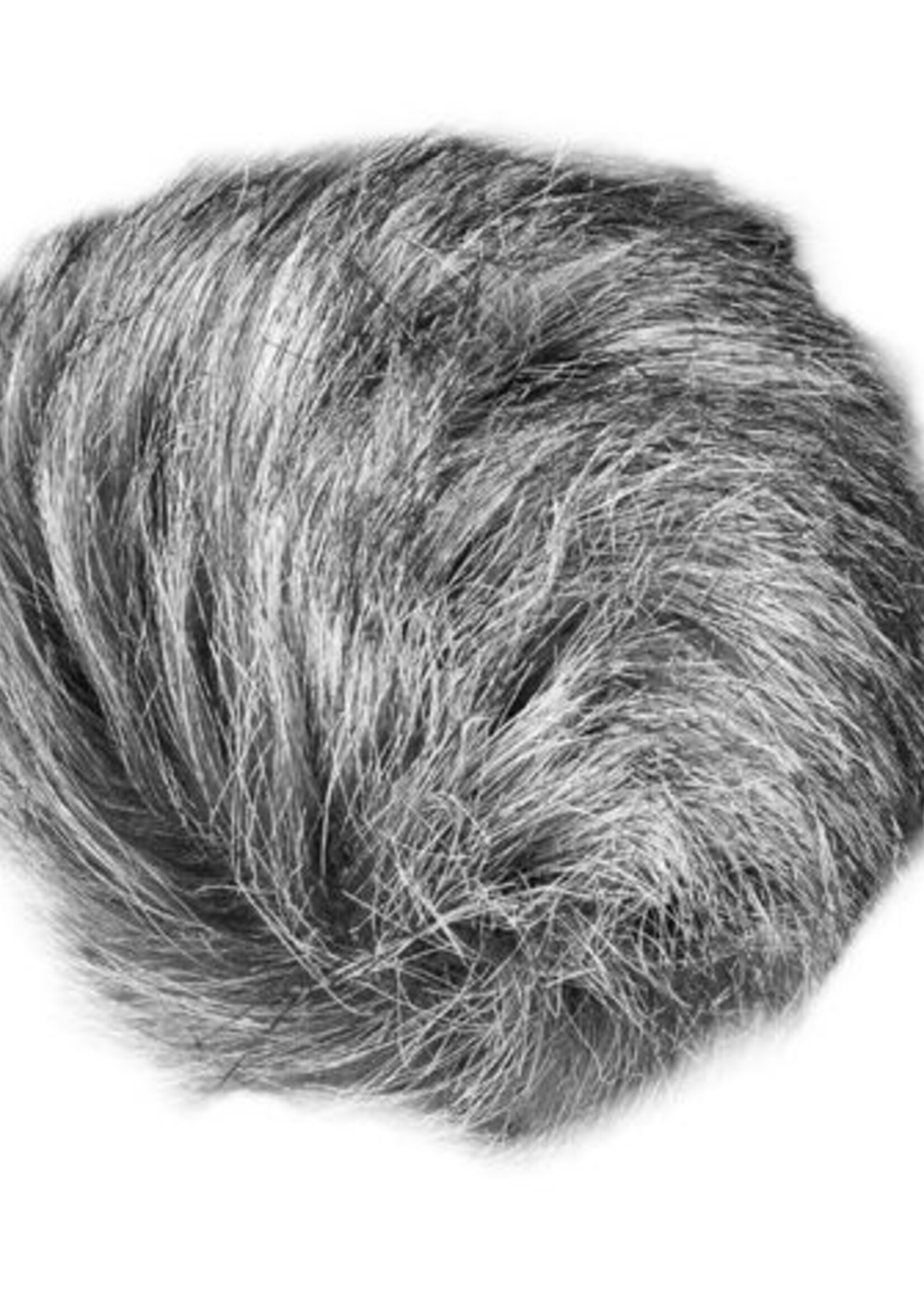 Zoom WSU-1