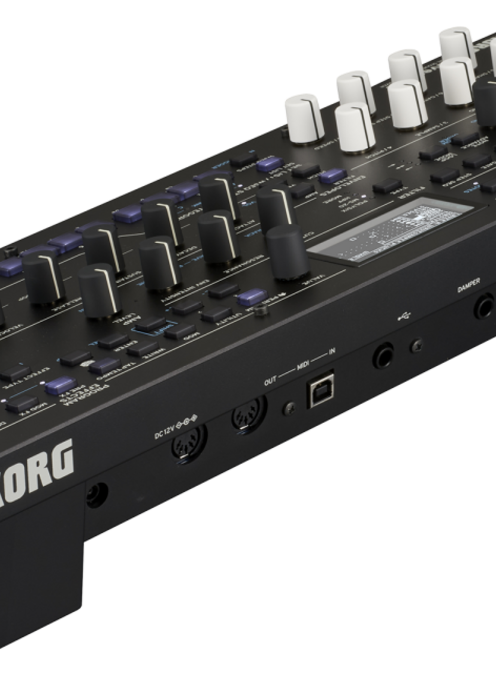 Korg Wavestate Module