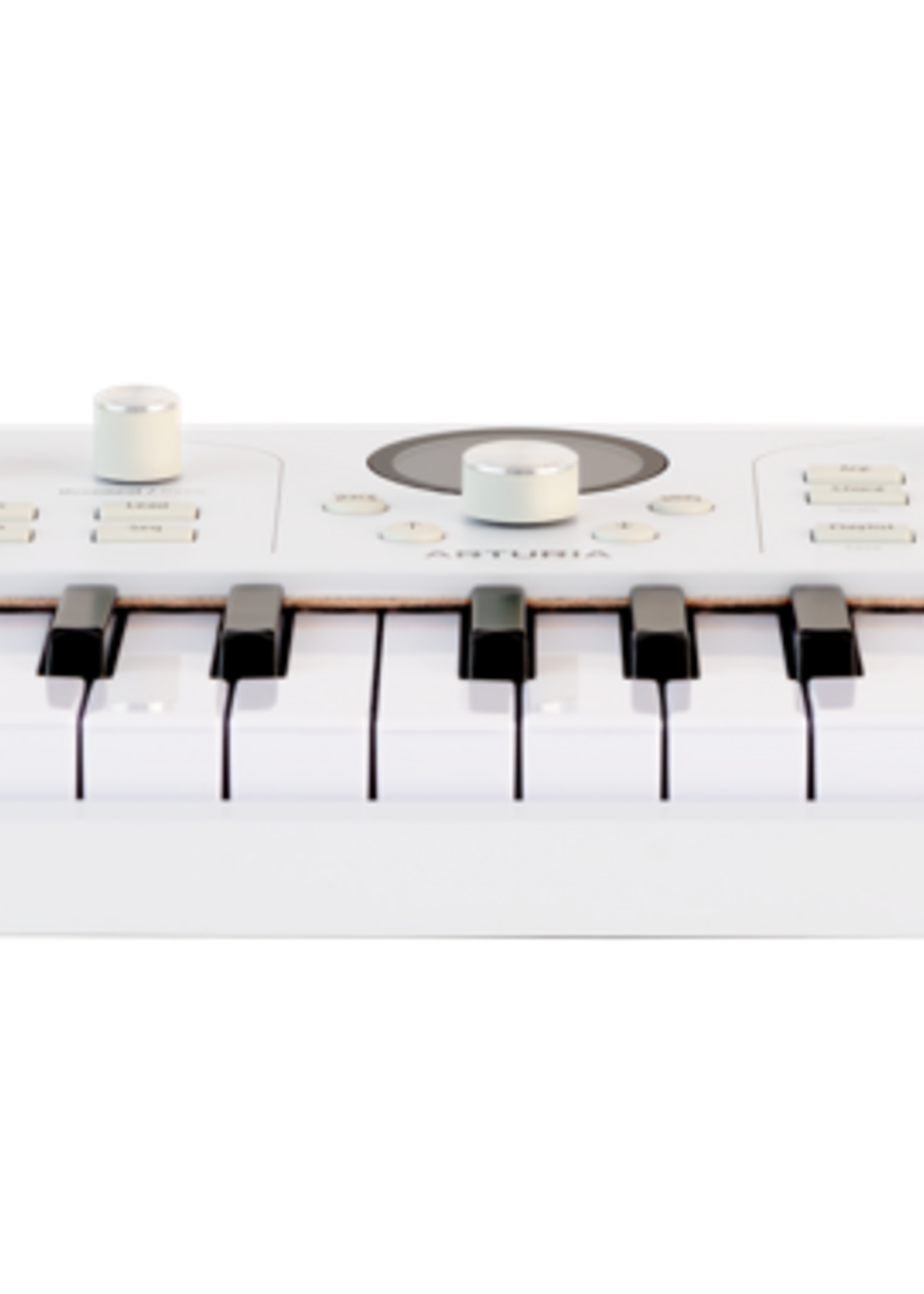 Arturia Astrolab 37