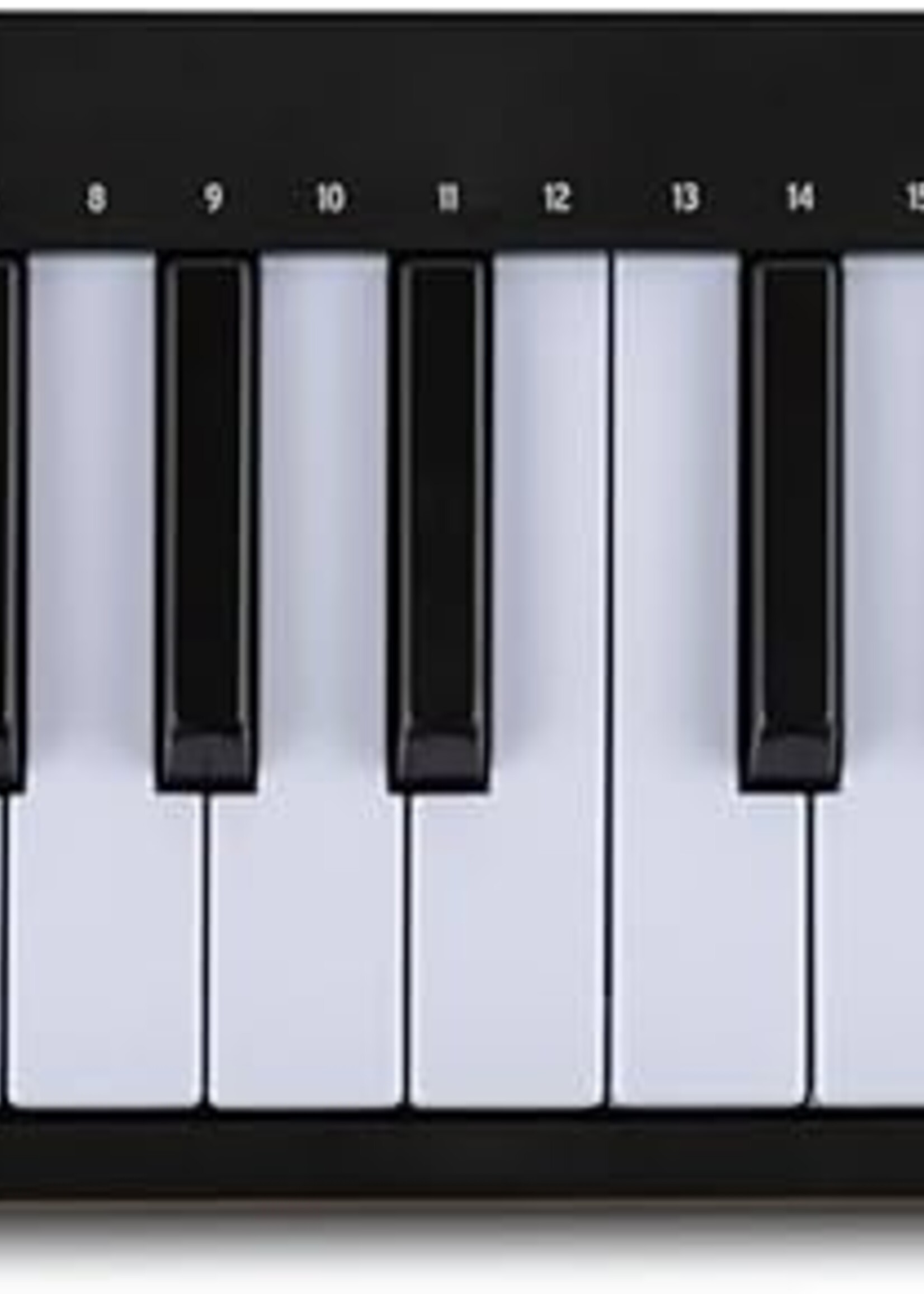 Arturia  MicroLab Mk3 Black