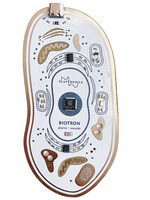 Playtronica Biotron Midi Controller