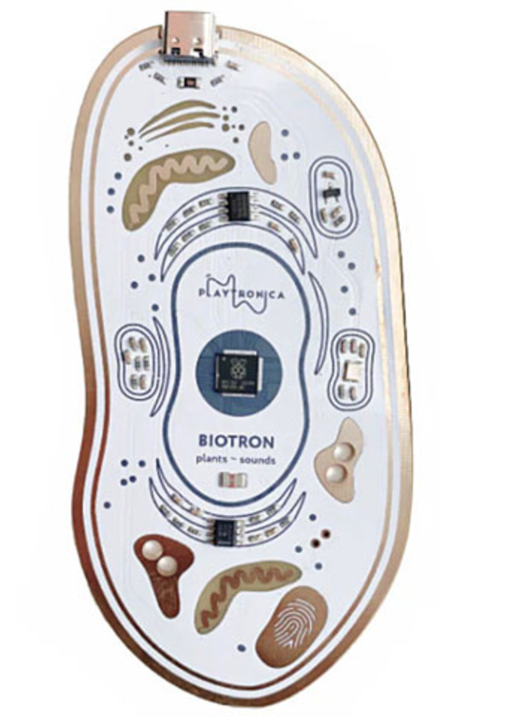 Playtronica  Biotron Midi Controller